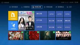 大力最新直播爆料新闻,大力最新爆料，带你直击热点新闻现场